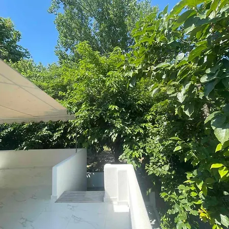 Natural Blue Messonette *