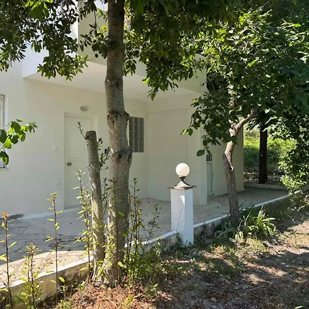 Natural Blue Messonette Криопиги