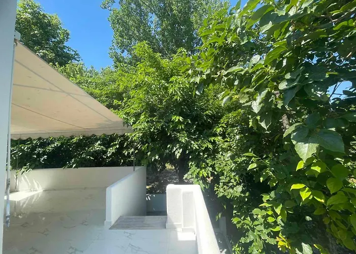 Natural Blue Messonette *