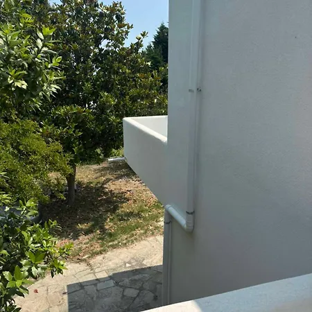 Natural Blue Messonette